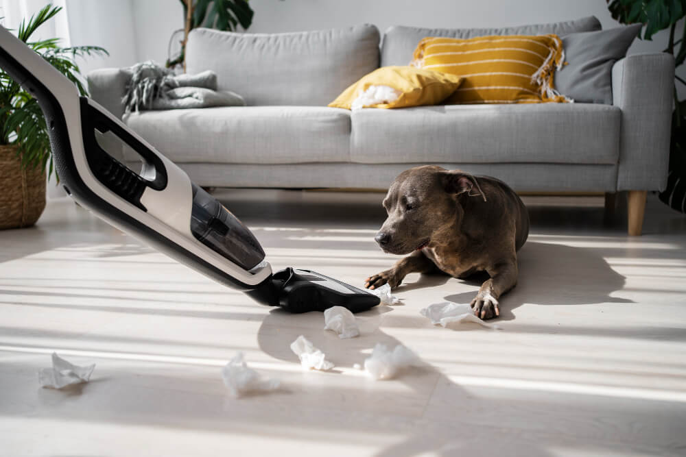 Deep Cleaning For Pet Owners: Tackling Pet Hair and Odors in Dubai